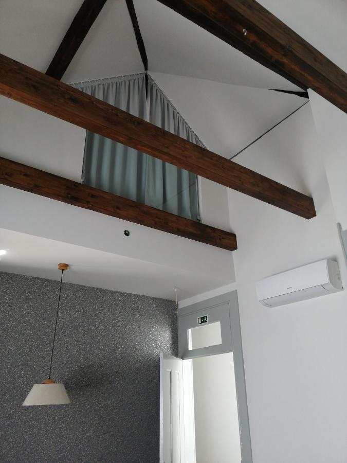 Ficus Benjamina Apartment Aveiro Exterior photo